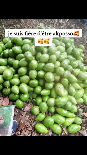 Explore the Beauty of Vibrant Fruits and Plants