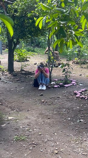 5.8K views · 192 reactions | Ang hirap mag-aral ng foreign language… pero mas mahirap matutunang hindi na siya babalik...凉凉凉 Pero nalaman mong postponed ang exam mo #ForeignLanguageFeels | Jason Keith Ifurung | Facebook