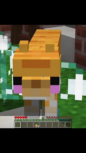 Minecraft Katzenhochzeit 2/2