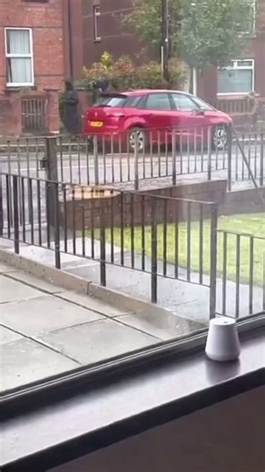 Patriots in Belfast are going door to door to marked houses of immigrants.