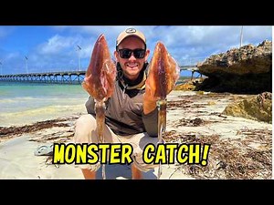 GIANT Squid Catch Clean & Cook - How To Catch Massive Squid From Shore