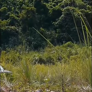 Top Best New on Netflix | Videos 2020