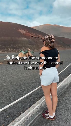 🐪 👀 | Allie Sherlock