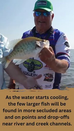 For those of you who fish Lake Martin in Alabama, you might be familiar with the Old Kowaliga Bridge. Even though it has now been blown up and sunk, Scott Crews Fishing can still see it clearly on his sonar unit thanks to the Transducer Shield & Saver “L” Bracket and Shield he has mounted on his jack plate. https://www.transducershieldandsaver.com/order/ #TransducerShieldAndSaver #Transducer #LakeMartin #LakeMartinAlabama #AlabamaFishing #KowaligaBridge | Crappie NOW