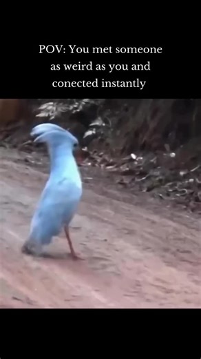 OCD memes | When we met.... . . . . . . #ocdawareness #ocd #ocdrecovery #anxiety #ocdmeme #mentalhealth #mentalillnessawareness #erp... | Instagram