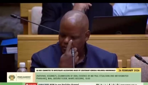 ♦️Must Watch♦️ EFF Deputy Secretary-General, Hon. Leigh-Ann Mathys, asked General Phahlane how it was possible that the President was not aware that a Minister had suspended him. According to General Phahlane, there was documentation from the President that warranted his suspension. #EFFInParliament #AdHocCommittee | Economic Freedom Fighters