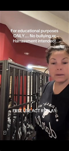 For educational purposes…. Free Use Act Replay and commentary. | baby donkey and mom