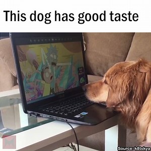 502K views · 4.5K reactions | The best boy  via instagram.com/k8tskya/ | Inside Gaming | Facebook