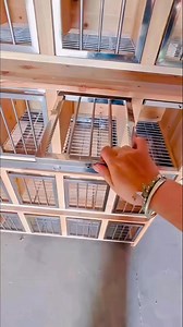 Beautiful part by part pigeon seating setup #racingpigeons #reelsvideoシ #fblifestyle | Amazing Loft