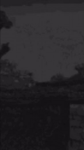 Godzilla raids again 1955 #history