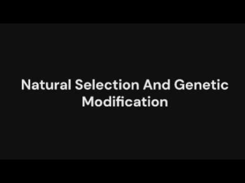 GCSE Biology Revision 'Natural Selection and Genetic Modification'