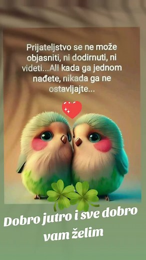 Animated Love Birds: A Heartwarming Moment