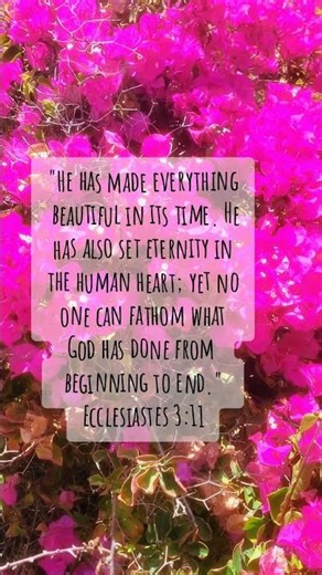 #bible #quotes #godsays #bibleverses #motivation #religiousphrases #christ #love #religiousquotes