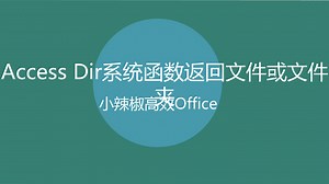 Access Dir系统函数返回文件或文件夹