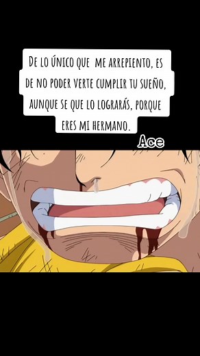 Luffy and Ace - The Legendary Brothers in One Piece