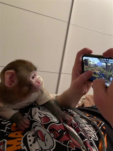 Страхование чудес: Всё, что нужно знать