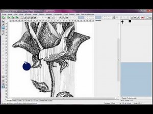 EMBIRD NUMERISATION AUTOMATIQUE D'UNE ROSE AVEC EDITOR