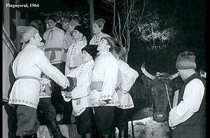 20K views · 163 reactions | ,,Plugușorul”, Secvențe din Filmul documentar ,,Moldova Sovietică”, 1 ianuarie 1964, realizat de Studioul „Moldova-Film”. Sursa: Agenția Națională a Arhivelor, Fondul DGAN (Cinemateca) | Agenția Națională a Arhivelor | Facebook
