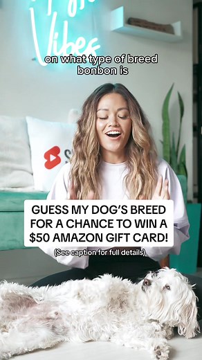🐾🐶BON BON DOGGY BREED REVEAL CHALLENGE‼️ We’ve gotten soooo many questions about what type of dog Bon Bon is, and the truth is… we actually DONT know! 🙈 So we decided to do a DNA test with @Wisdom Pane and take YOU along on the journey! 🦴𝐇𝐎𝐖 𝐓𝐎 𝐄𝐍𝐓𝐄𝐑 ⬇️: 🐶 Type in the comments below what you think Bon Bon’s MAJORITY breed is and the % ! (Ex: 67% pit bull). 𝑾𝒉𝒐𝒆𝒗𝒆𝒓 𝒈𝒖𝒆𝒔𝒔𝒆𝒔 𝒊𝒕 𝒄𝒐𝒓𝒓𝒆𝒄𝒕 )𝒐𝒓 𝒊𝒔 𝒕𝒉𝒆 𝒄𝒍𝒐𝒔𝒆𝒕𝒔) 𝒘𝒊𝒍𝒍 𝒘𝒊𝒏 𝒂 $50 @Amazon 𝒈𝒊𝒇𝒕