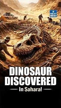 New Spinosaurus Species Discovered | Sahara’s Deadly Semi-Aquatic Predator Revealed | NEXT IAS