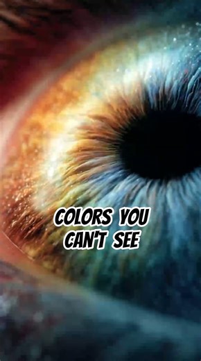 Animals That Can See Colors Humans Can’t 👀