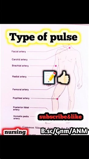 Type of pulse human body #anotomy#nursingstudies#nursingstudents#nursingshorts#medical#shorts#notes
