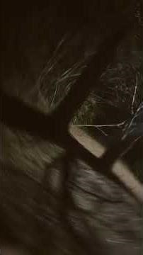 SLEEPY TIME! #therian #haveitoldyoulatelythatiloveyou #anotheranimal #butifyoucloseyoureyes