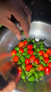 hello Devi Gharti जि कोसेलि लिएर आउदै छु कति मोया अर्चु मैले हजुर खालि ल्याङ ल्याङ गरिसिन्छ🙈😂 | Raju Dhakal