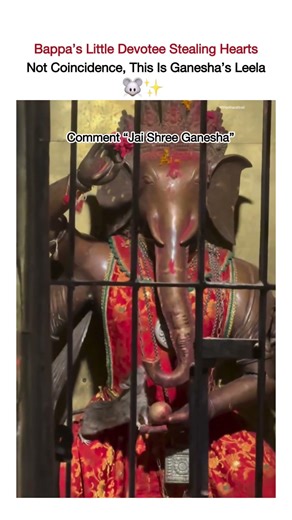 When Ganesha’s Real Vahan Came Alive in the Temple 🐭🙏 | Divine Moment #spirituality #ganesh #short