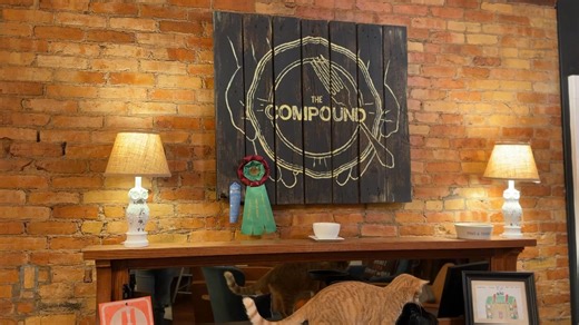 What in the Vecna is this electrical issue at The Compound?!?!?! I'll take your best guesses and contact some professionals. | Leslie Hart-Davidson