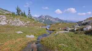 Enjoy beautiful summer days at Mt Rainier National Park. Immerse in the peaceful atmosphere and take in the spectacular views. Hiking around Mt. Rainier is one of the best things to do in summer. Discover this amazing landmark of Washington State while watching the full version of the video on our YouTube Channel: https://www.youtube.com/watch?v=hjKO0d_umLc The park is alluring, indeed! There are lots of wildflowers, lakes, mountain streams, peaks, amazing hiking trails, etc. Don't miss this cha