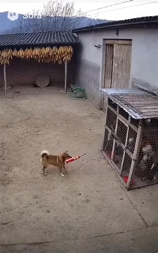 NaturePuzzle� | NaturePuzzle