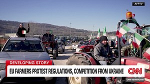 EU farmers protest regulations, competition from Ukraine