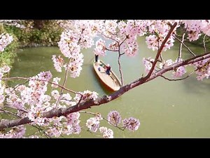 弘前さくらまつり2023