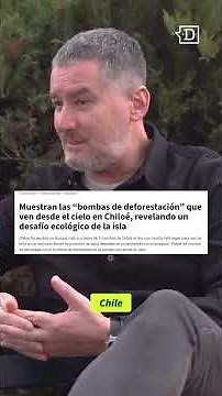 🌳Chiloé loses nearly 900 hectares of native forest every year.