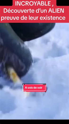 Incroyable Découverte: Preuve de l'Existence d'un Alien