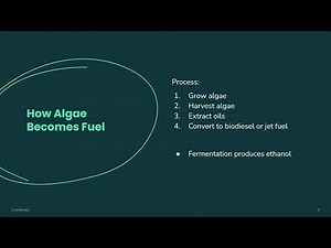 BIOL 111: Biofuels Project