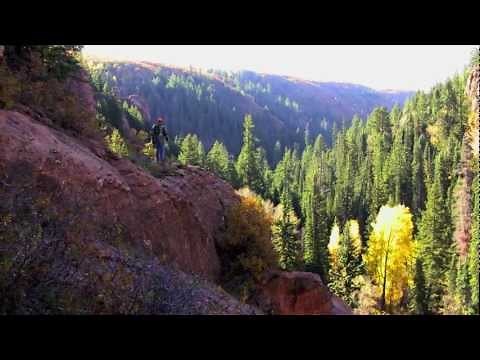 Colorado Elk Hunt (Unit 61-Uncompahgre Plateau)