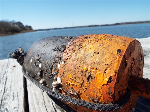 Punkin, Authentic Crab Pot Buoy, Orange and Black - Etsy