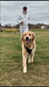 Brave Old Man Rescues Horse from Deadly Fire #dog #pets #animals #goldenretriever #wildliferescue.