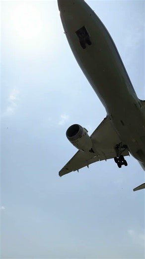 🇯🇵All Nippon Airways Boeing 787 - MSN 40899 JA815A Tokyo (HND) Taipei (TSA) NH851