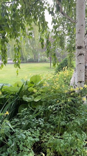 Just had to pause my garden project… 🥴☔️🙌 | Garden Answer