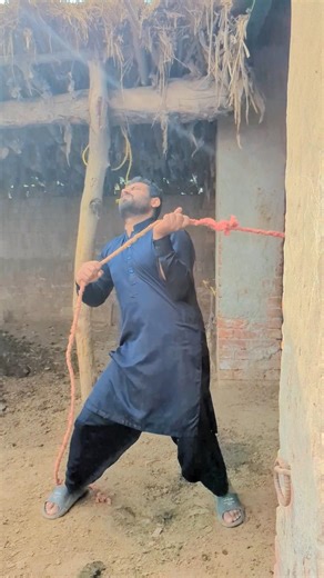 #bakraeid #animalshorts #shortvideo #trendingshorts