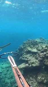 65M views · 41K reactions | Spearchannel on Reels | Facebook