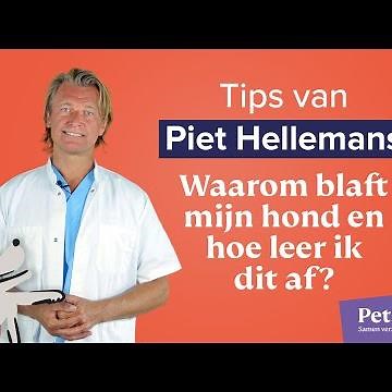 Piet Hellemans - Waarom blaft mijn hond en hoe leer ik het af?