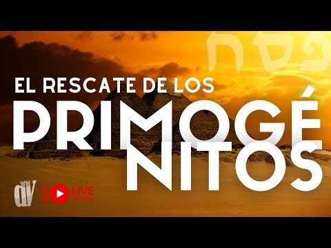 El rescate de los 🐑 PRIMOGÉNITOS 👨‍👦 [Especial de PESAJ] La redención y la CONSAGRACIÓN