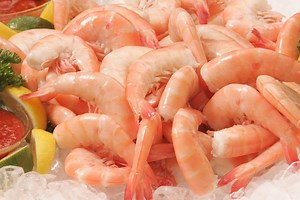 Where do Key West pink shrimp come from? [2025] | QAQooking.wiki