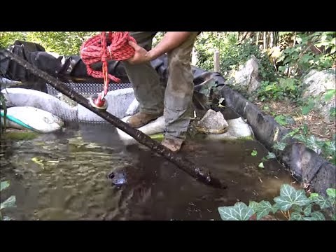 Magnet Fishing 101: Strength Testing Magnets