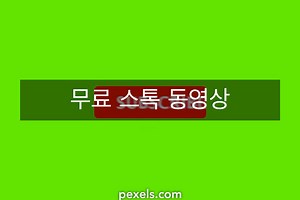 유튜브%20배경