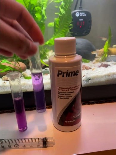 Fish in Nitrogen cycling : Review on Seachem Prime in lowering Nitrites It works! #aquarium